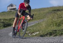 Cuissard Wilier Rigo - Art. WL 317