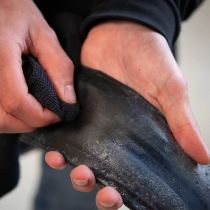 Dissolvant Préventif et Colle Dynamic Wipe Out 150ml