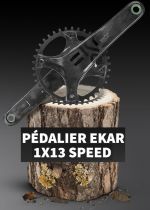 Pédalier Campagnolo Ekar 13v