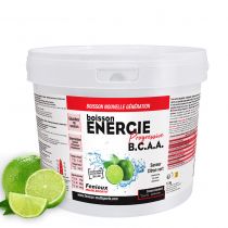 Pot 1 500g Boisson Fenioux Energie Progressive BCAA Haute Performance