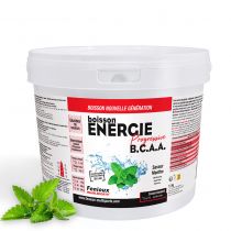 Pot 1 500g Boisson Fenioux Energie Progressive BCAA Haute Performance