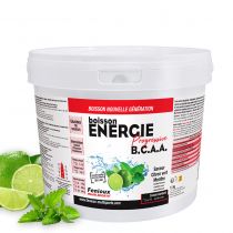 Pot 1 500g Boisson Fenioux Energie Progressive BCAA Haute Performance