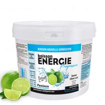 Pot 1 500g Boisson Fenioux Energie Progressive