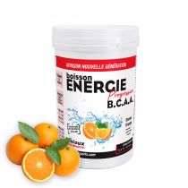 Pot 600g Boisson Fenioux Energie Progressive BCAA Haute Performance