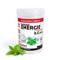 Pot 600g Boisson Fenioux Energie Progressive BCAA Haute Performance