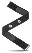 Sangle Elastique Ceinture Thoracique FS Seule - Rf. I050787 M