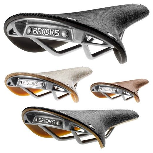 selle cambium
