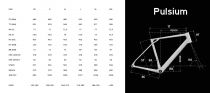 Vélo Lapierre Pulsium 6.0 - 2025