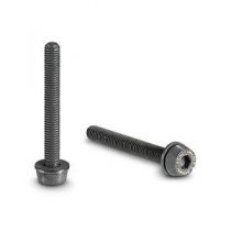 Vis Campagnolo 2x 29mm pour Réhausse Arr 20-24mm